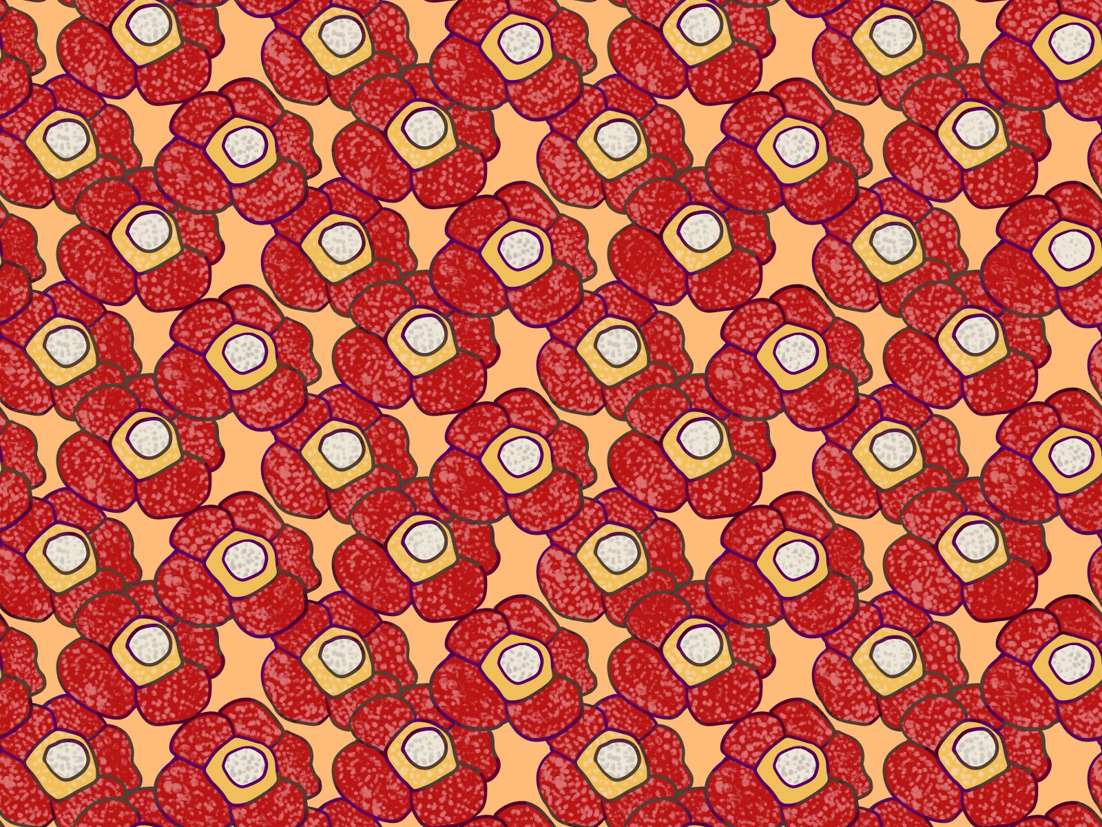 雙葉中学校　2023年入試問題　国語～世田谷区・渋谷区の国語塾「国語ひまわり塾」