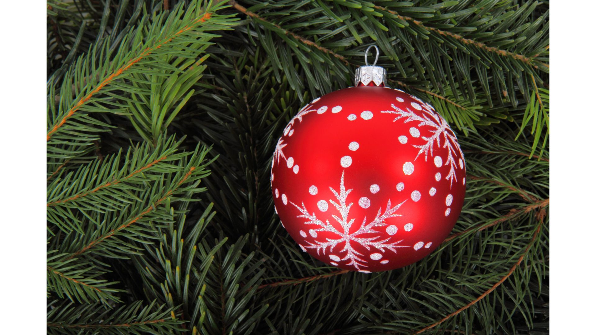 雙葉中学校　2023年入試問題②～世田谷区・渋谷区の国語塾「国語ひまわり塾」