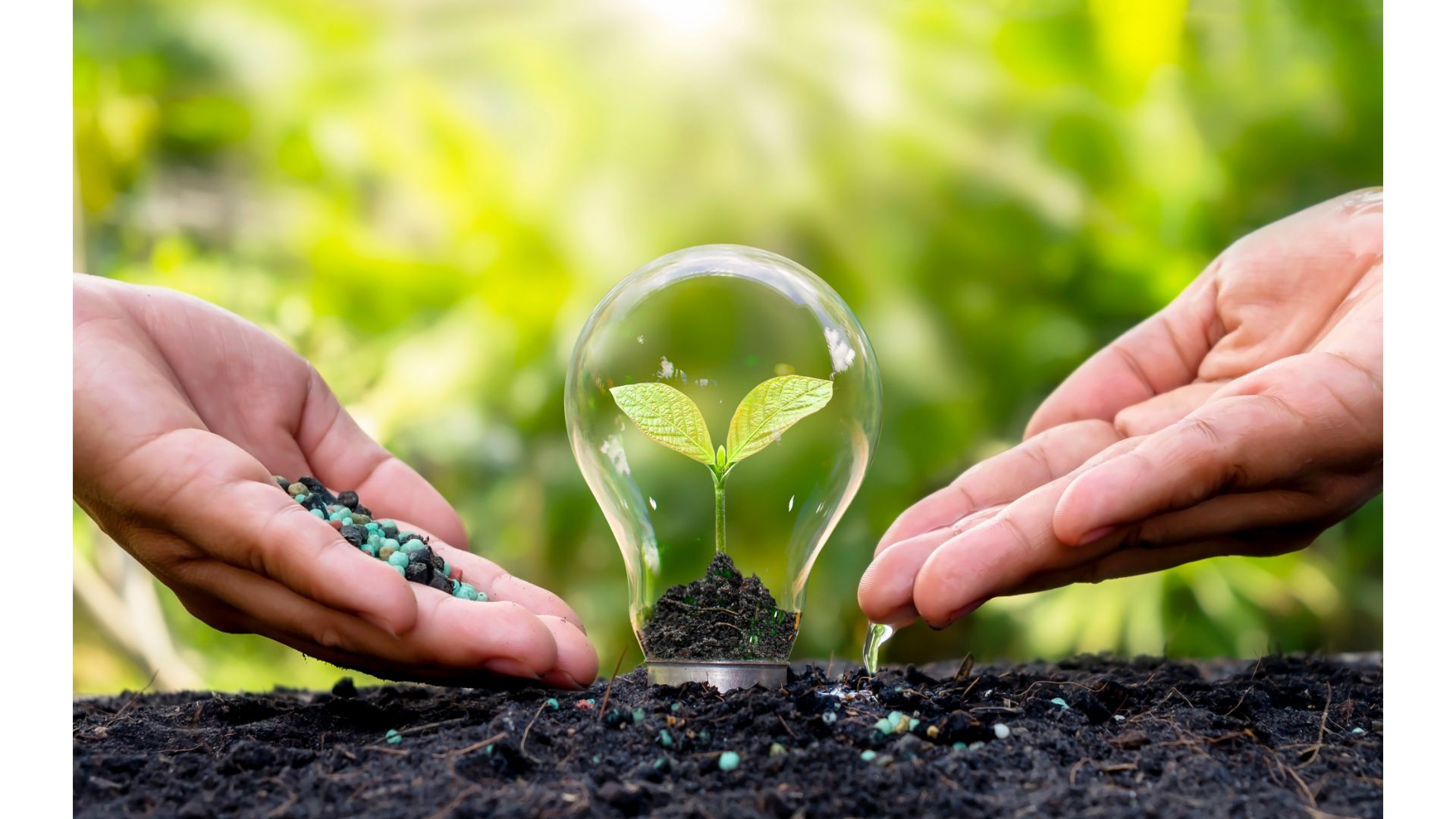 雙葉中学校　2023年入試問題③～世田谷区・渋谷区の国語塾「国語ひまわり塾」