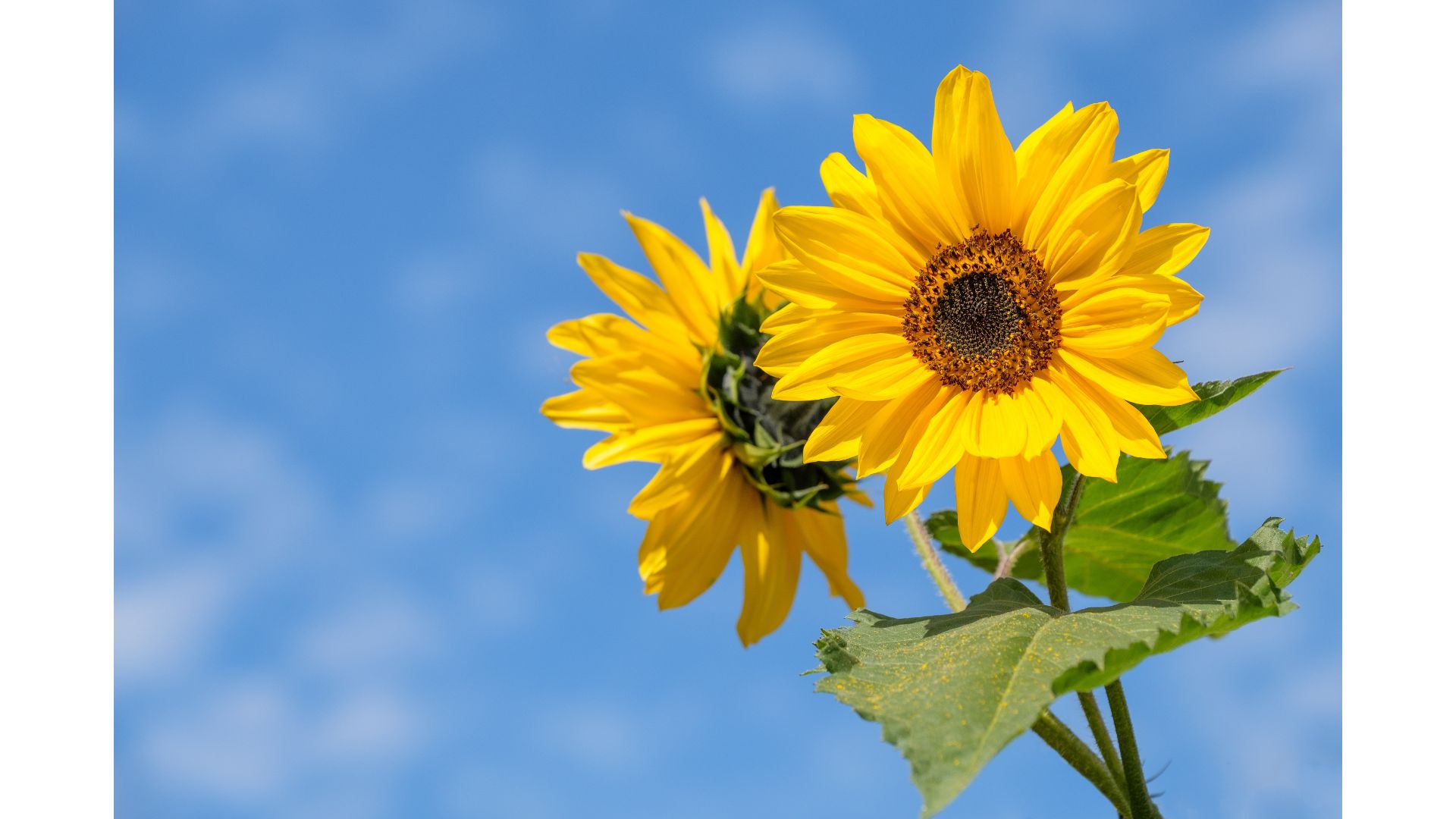 読む力を鍛える夏