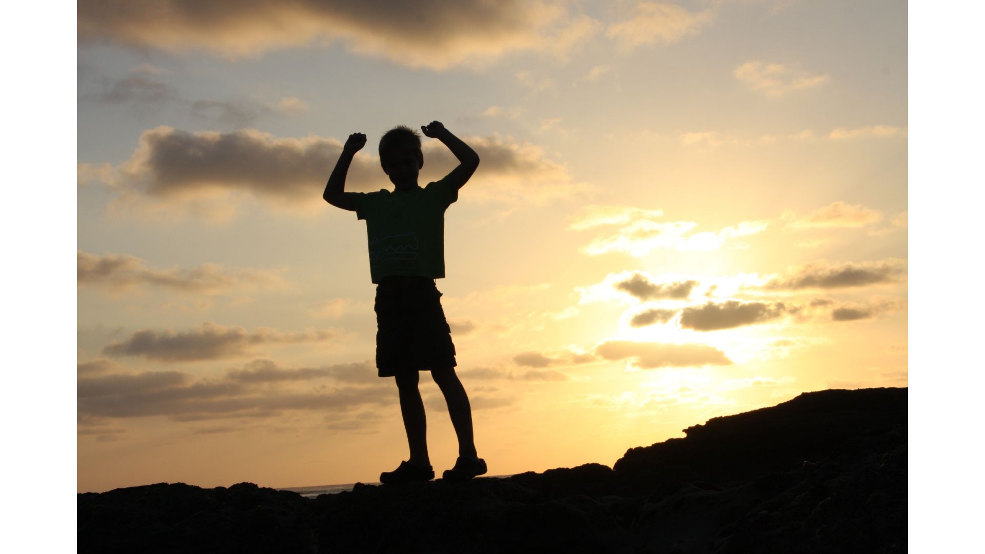 迷わず進もう～世田谷・渋谷の個別指導「国語ひまわり塾」