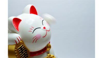 設問を先に読むか～世田谷区・渋谷区の個別指導「国語ひまわり塾」